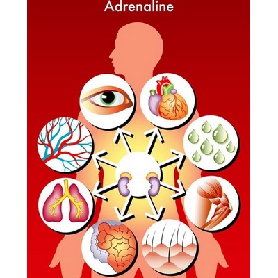 ISCRPLJENJE NADBUBREŽNE ŽLEZDE - UZROK BOLESTI O KOJOJ NISTE ZNALI